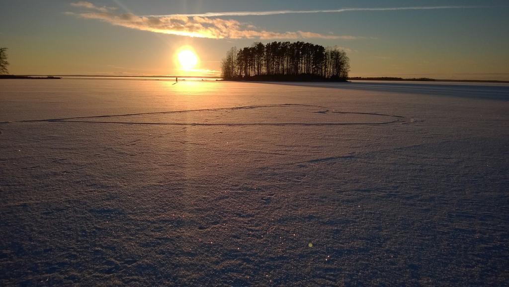 Koivuniemi Cottage Säkylä Esterno foto