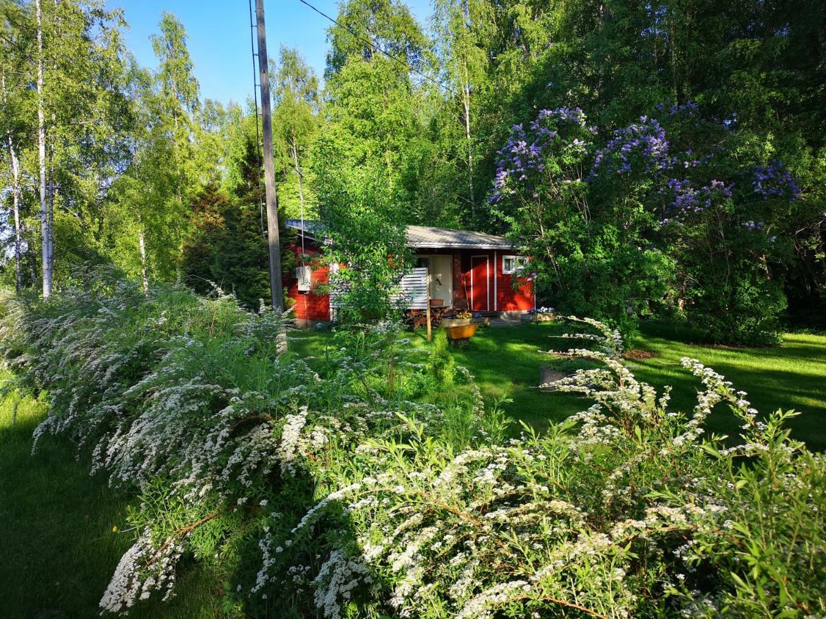 Koivuniemi Cottage Säkylä Esterno foto
