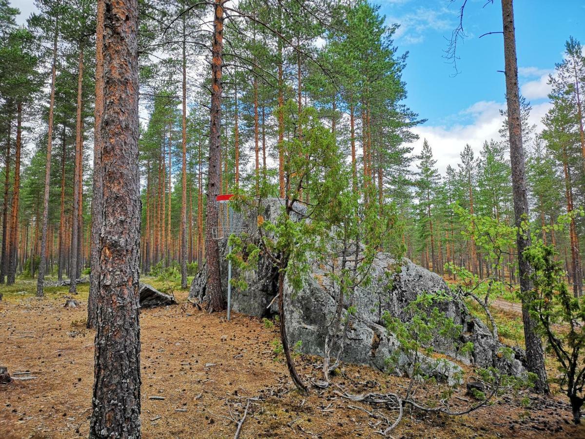 Koivuniemi Cottage Säkylä Esterno foto