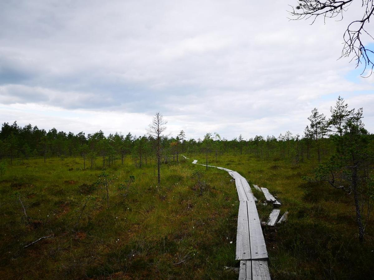 Koivuniemi Cottage Säkylä Esterno foto